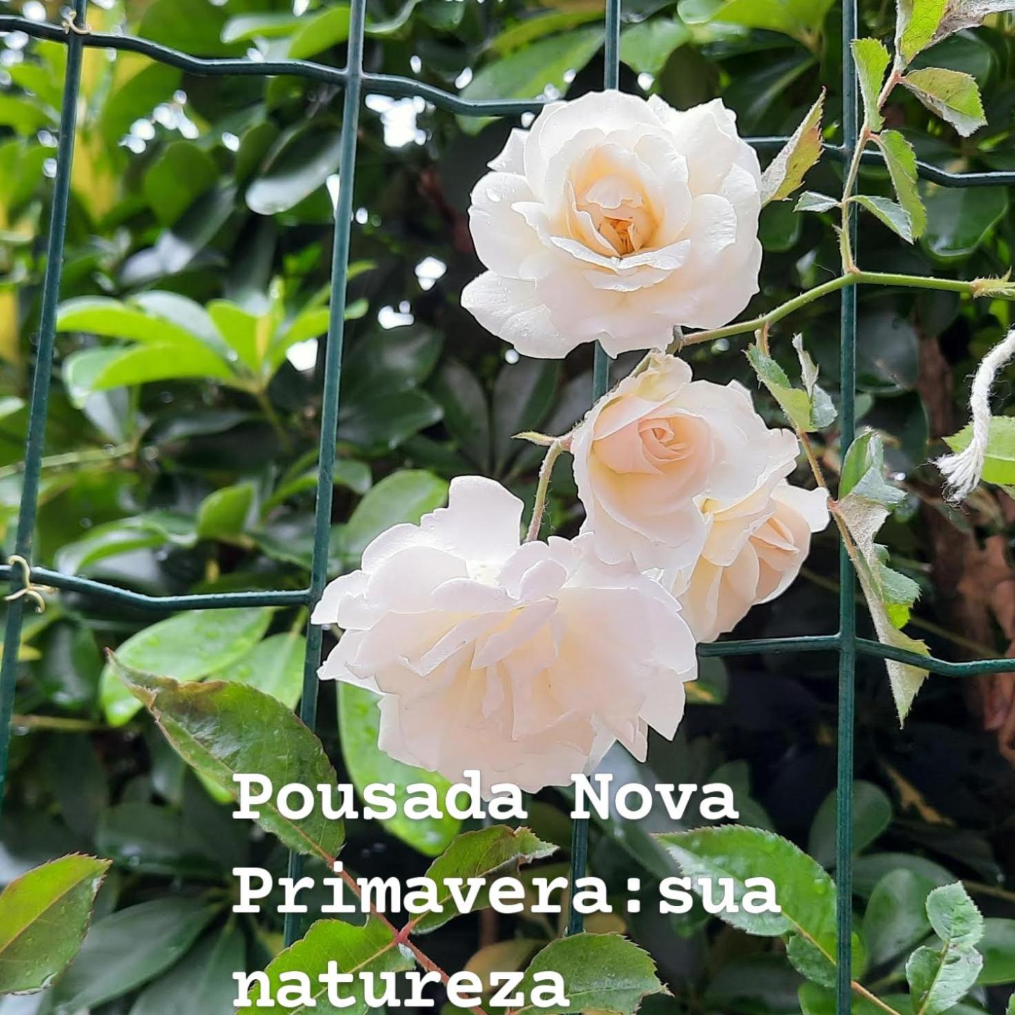 אובטובה Pousada Nova Primavera מראה חיצוני תמונה